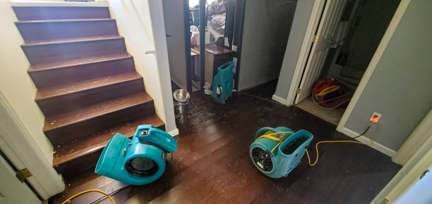Best Water damage contractors near me  in Dover Plains, NY