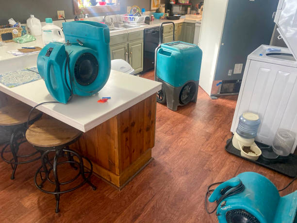 Best Water damage cleanup near me  in Dover Plains, NY