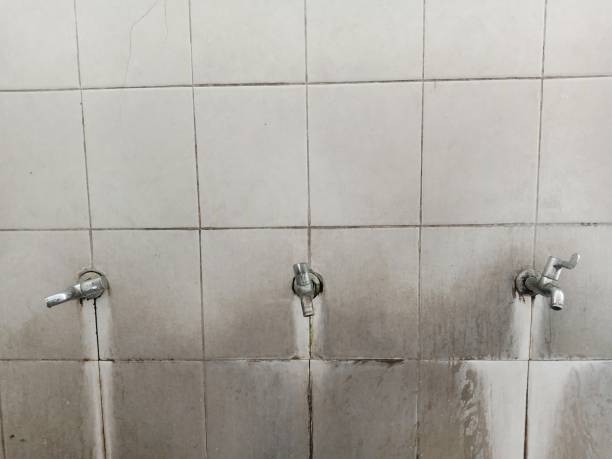 Best Ceiling water damage repair  in Dover Plains, NY