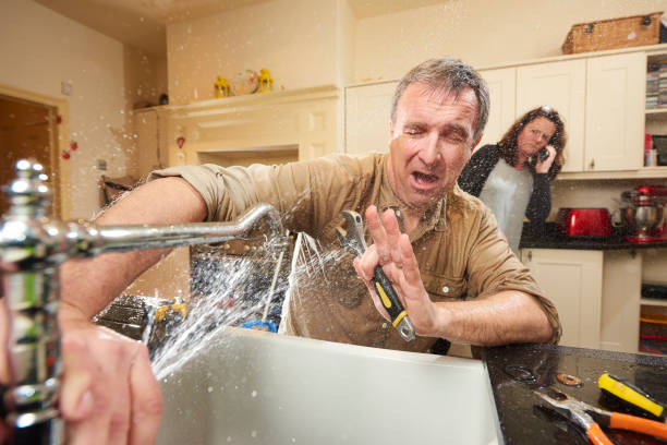 Best 24/7 water damage repair  in Dover Plains, NY